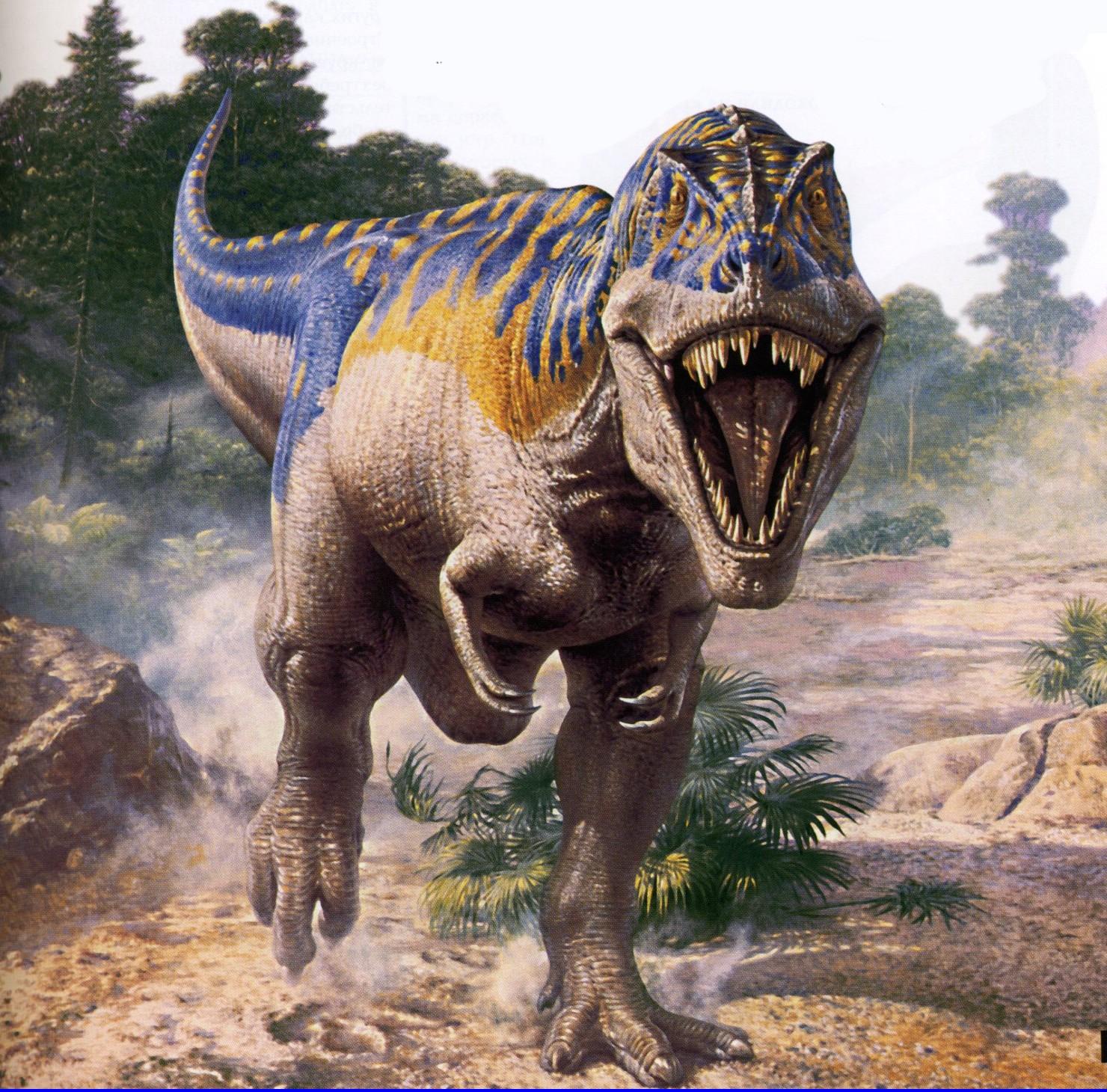 Опасные динозавры в мире. T Rex Тираннозавр. Динозавры Тиранозавр РЭКС. Динозавры хищники Тиранозавр. Королевский Тиранозавр.